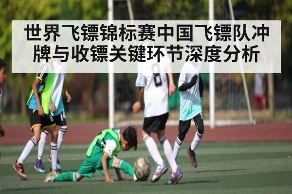 世界飞镖锦标赛中国飞镖队冲牌与收镖关键环节深度分析