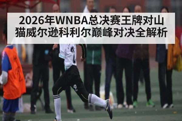2026年WNBA总决赛王牌对山猫威尔逊科利尔巅峰对决全解析